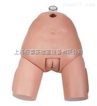 高级女性膀胱穿刺模型|护理专业技能训练模型