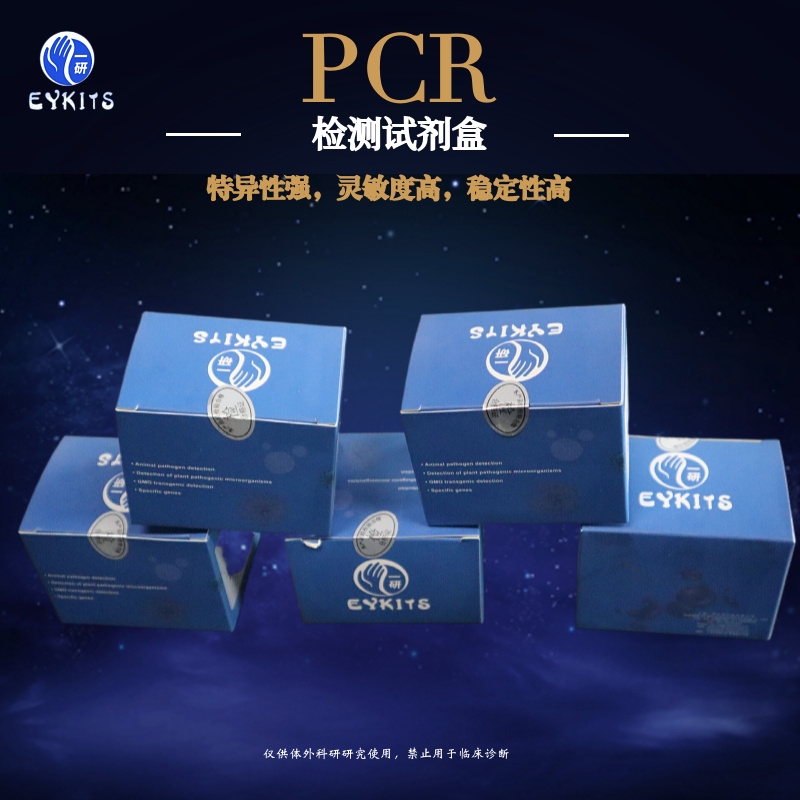正确存放PCR扩增试剂盒是保障实验成功率的关键