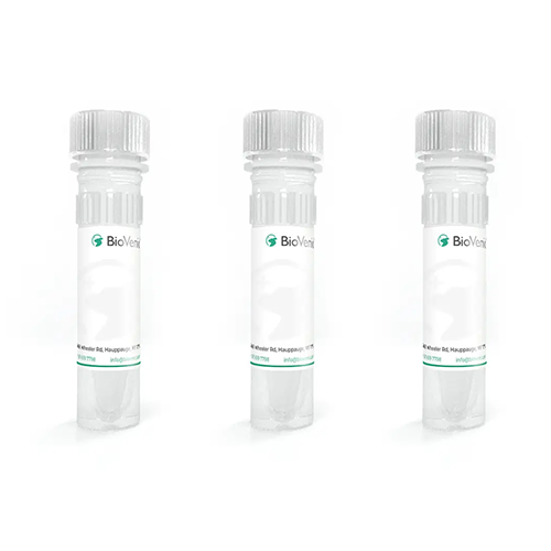 BioVenic●EK1F700●磷脂酰肌醇三磷酸（PIP3）ELISA试剂盒【产品说明书】