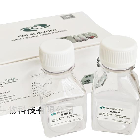 及時解決鼠尾膠原蛋白問題是保障實驗成功的關鍵