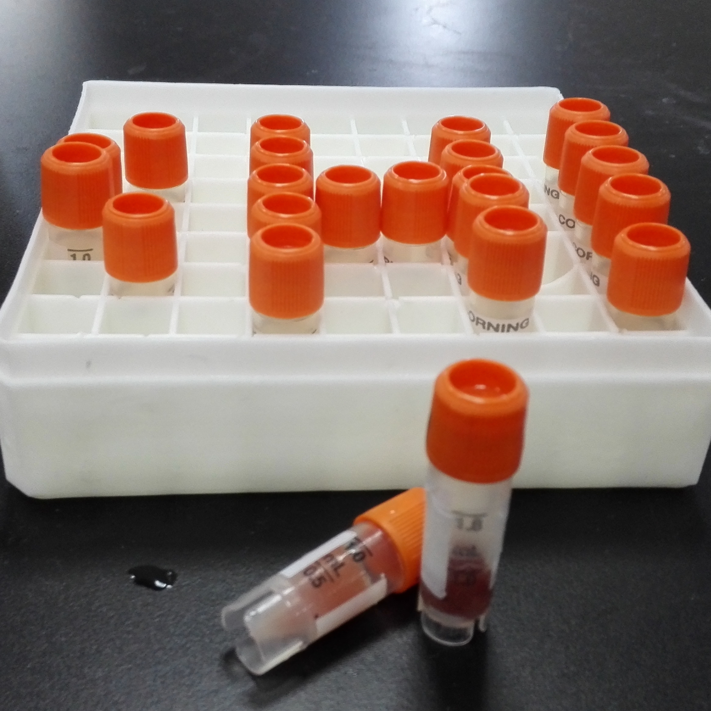 及時解決小鼠肝微粒體常見問題是保障體外代謝研究質量的核心