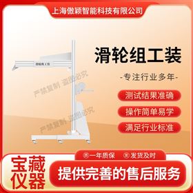 傲颖  滑轮组工装