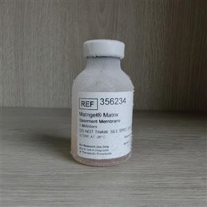 356234Corning® Matrigel® 基底膜基质，不含LDEV