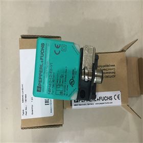 倍加福P+F母頭電纜套件V1-G-BK用途