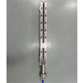 SHL1就地型磁翻板液位计