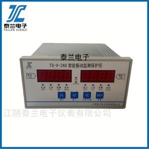 TS-V-2AS智能振動(dòng)監(jiān)測(cè)保護(hù)儀 雙通道測(cè)振表