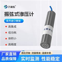 WX-SYJ1振弦式渗压计