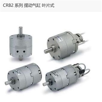 CRB2BW10-100DZ日本SMC摆动气缸