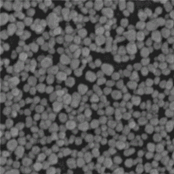 银包金复合纳米颗粒