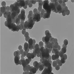 羧基介孔二氧化硅纳米颗粒