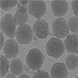 氨基介孔二氧化硅纳米颗粒