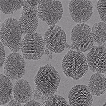 氨基介孔二氧化硅納米顆粒
