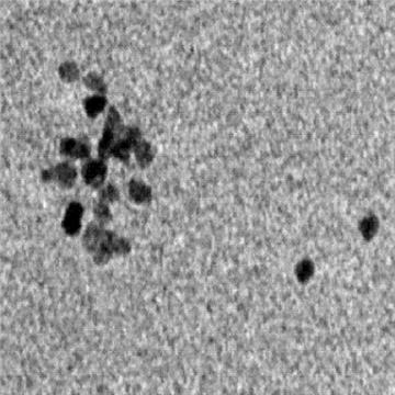 Pt NPs?，鉑納米顆粒