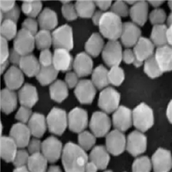 Pd NPs，钯纳米颗粒