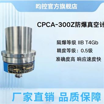 CPCA-300Z平替MKS真空计