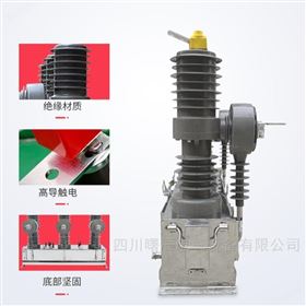 ZW32-12/630A四川10KV戶外真空斷路器