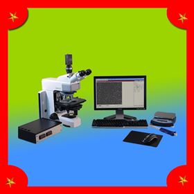 公猪精子分析仪