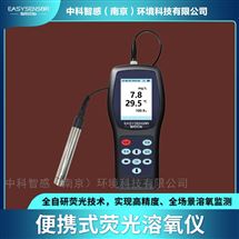 便攜式溶氧儀污水款 污水處理 非消耗性膜片