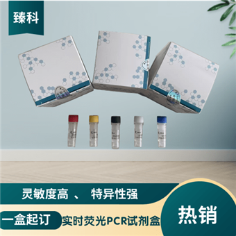 50T马动脉炎病毒(EAV)核酸试剂盒(荧光-PCR法)