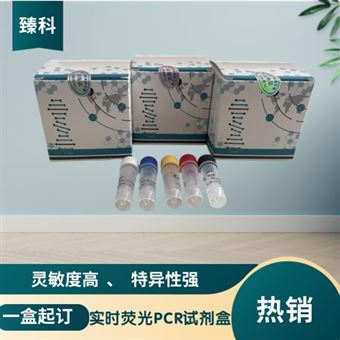 50T鱼源性成分(Fish)核酸试剂盒(荧光-PCR法)