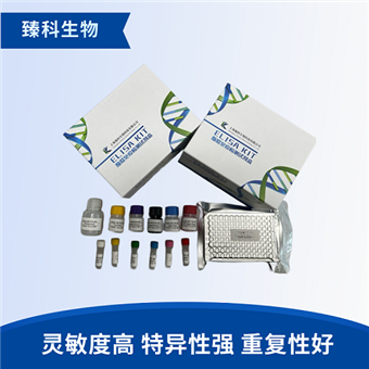 96T菲诺特罗ELISA检测试剂盒