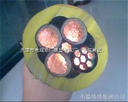 MCPT電纜3*95+1*50+4*6-采煤機(jī)屏蔽電纜1140V