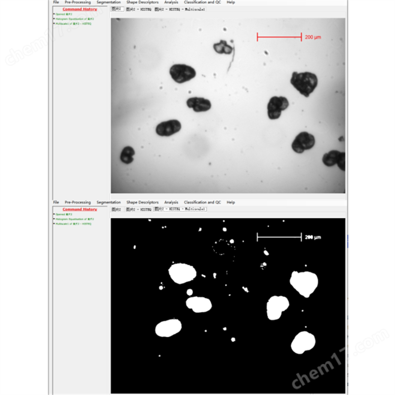 工業(yè)圖像分析與處理軟件