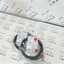 IFM易福門壓力傳感器PN2594