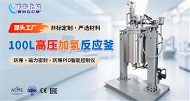 100L防爆高压加氢反应釜