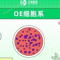 過表達穩(wěn)轉株