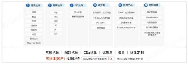 人源BRD4蛋白