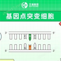 基因點突變細胞