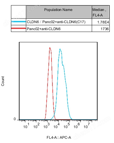 hCLDN6(Claudin6)/PANC02