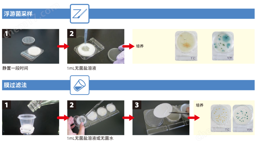 54054微生物快速測試片—霉菌與酵母