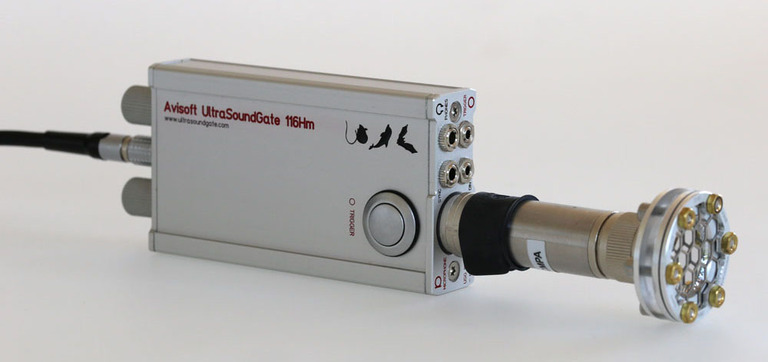 便攜式動物超聲聲音錄制儀UltraSoundGate 116Hm