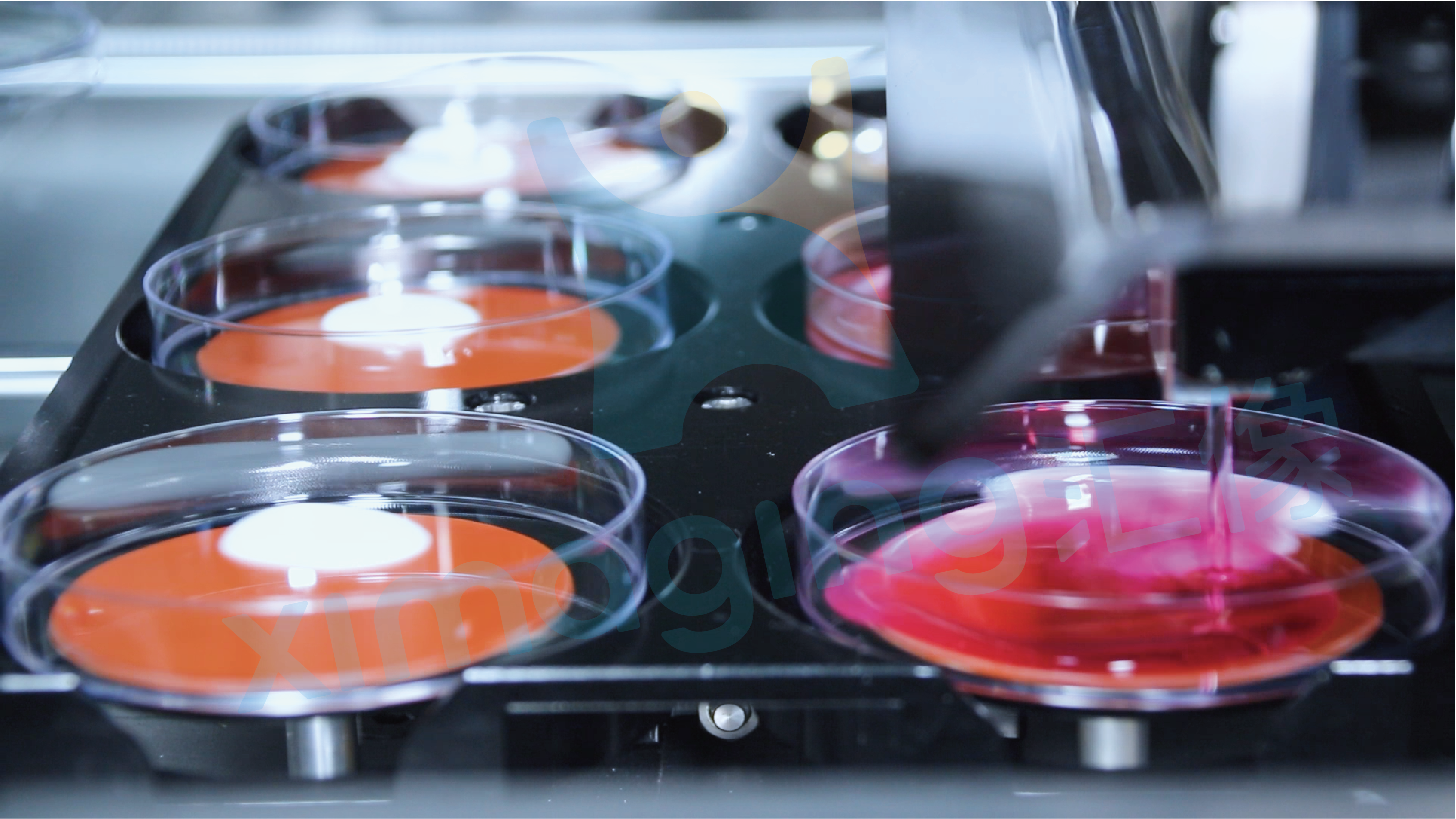 又一關鍵性成果，匯像科技破局微生物檢測困境