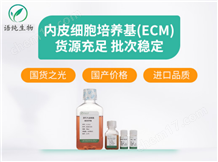 CC1312內(nèi)皮細(xì)胞培養(yǎng)基（ECM）