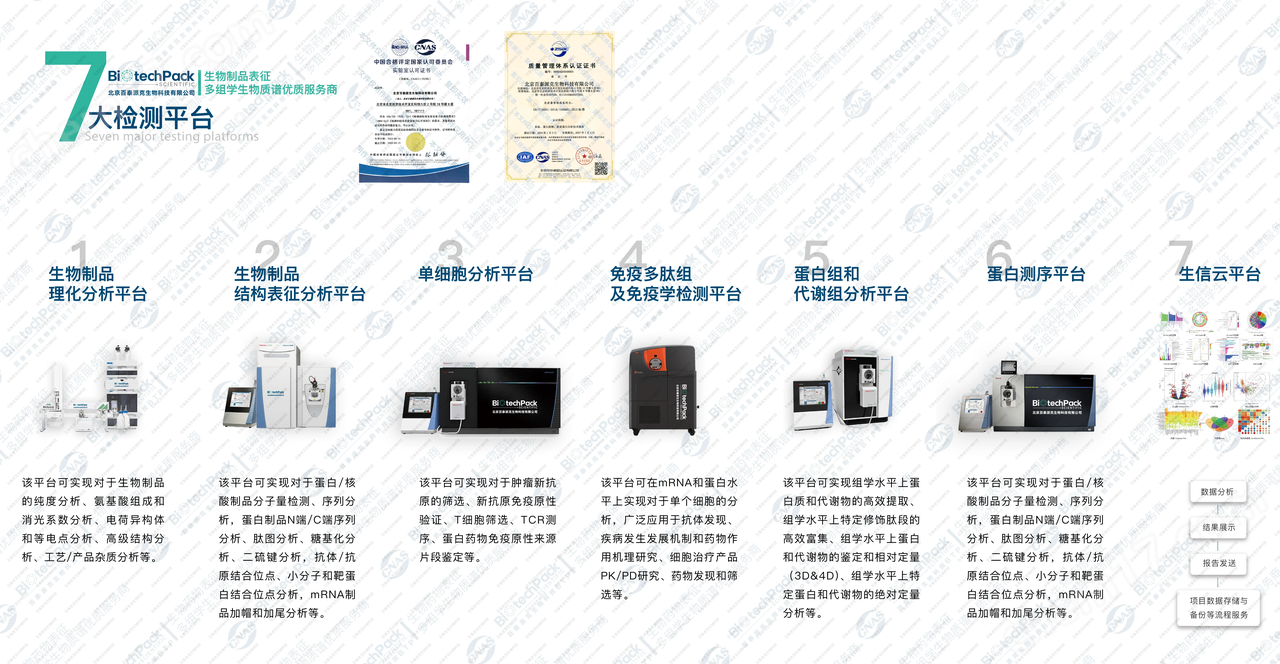不同蛋白質定量方法的優勢與局限性分析