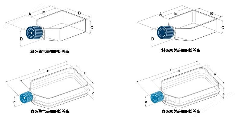 BD 50ml斜頸細胞培養瓶通氣蓋353108