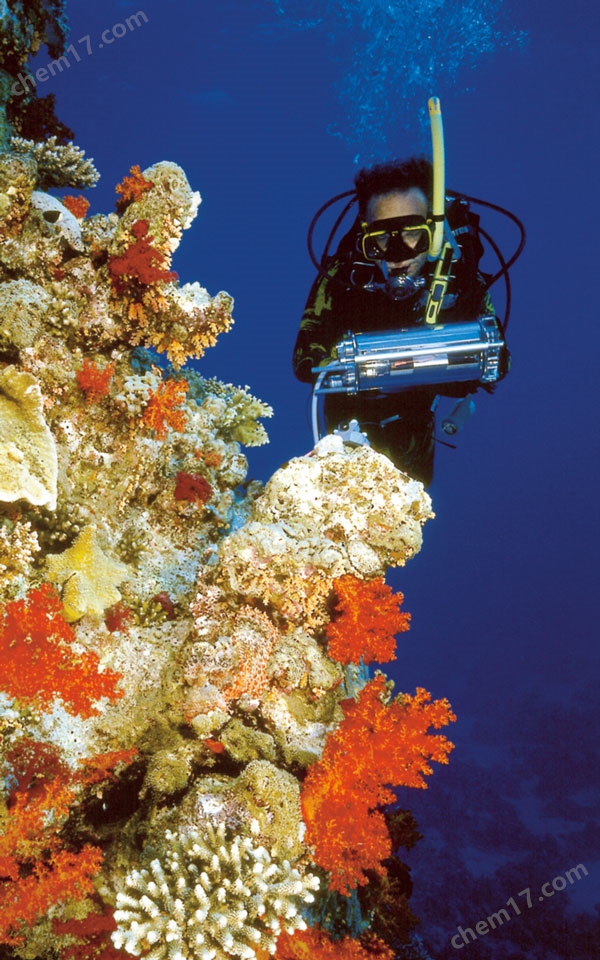 水下调制叶绿素荧光仪——DIVING-PAM-II