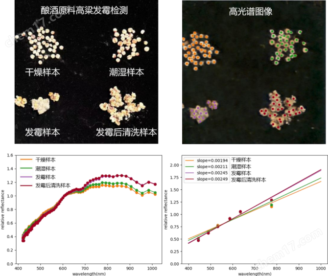 快照式、視頻級(jí)、高頻地面高光譜相機(jī)