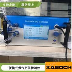 煤氣熱值分析儀便攜式