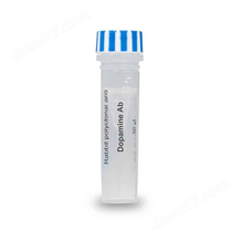 Dopamine Antibody – Rabbit Polyclonal