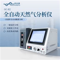 全自動天然氣分析儀