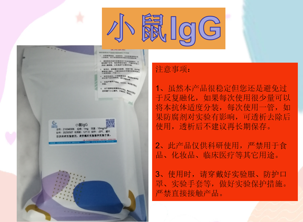 小鼠IgG使用建議