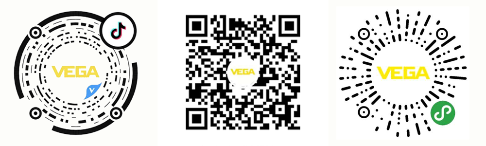 克服安裝困難！VEGA分體式物位開關(guān)實(shí)現(xiàn)可靠的粉料檢測