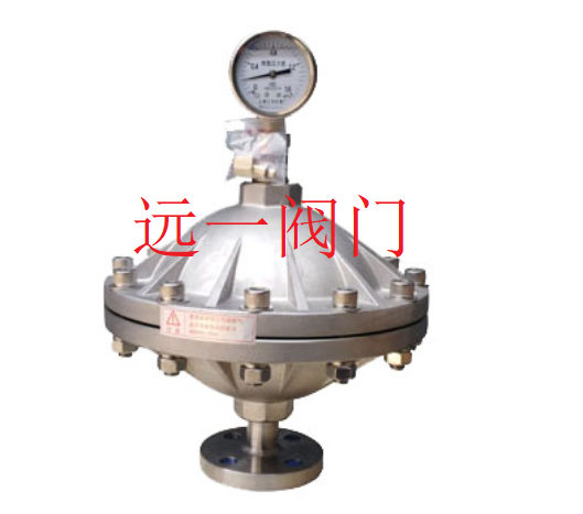RXMZ-FL0.15-0.35-0.6-1.0-2.0-4.0-6.0-10/2.5不銹鋼膜片式襯氟脈沖阻尼器