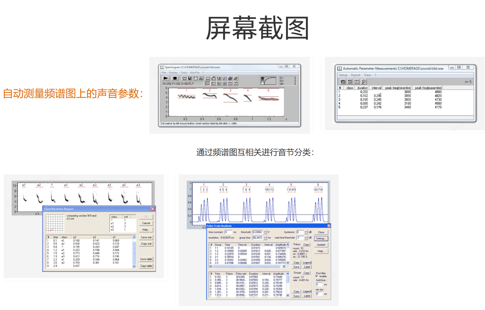 動物超聲聲音分析合成軟件Avisoft-SASLab