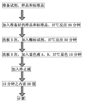 操作程序總結.png 操作程序總結.png