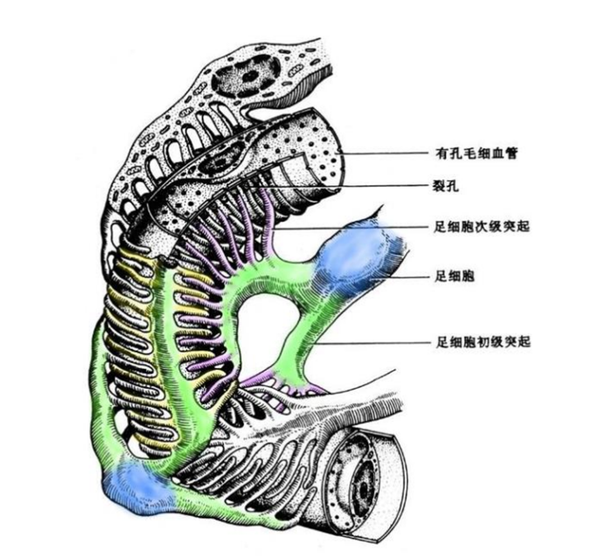 圖片1.png 圖片1.png